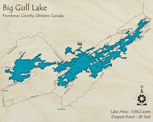 Big Gull Lake Map Print