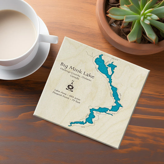 Big Mink Lake Map Coaster