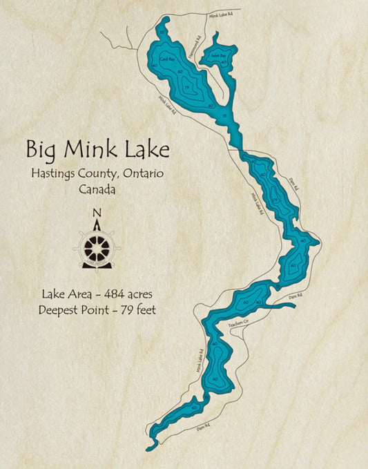 Big Mink Lake Map Print