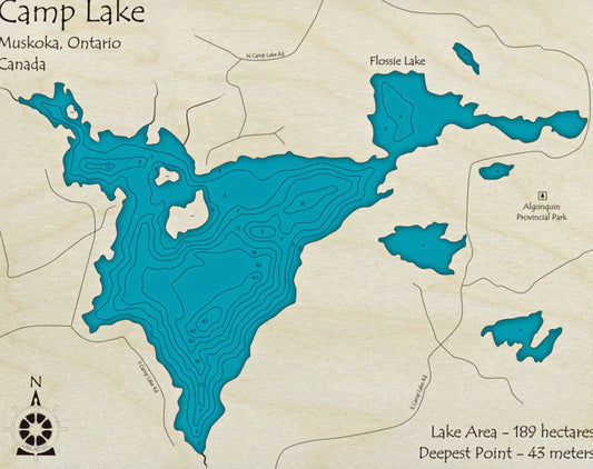 Camp Lake Map Print