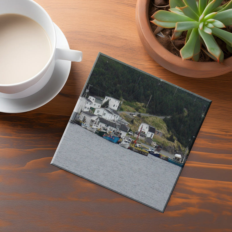 Chance Cove Coaster