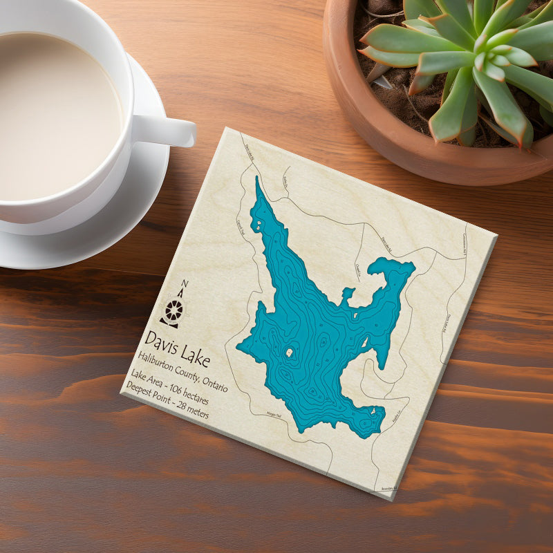 Davis Lake Map Coaster