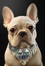 Edmonton Oilers Dog Bandana