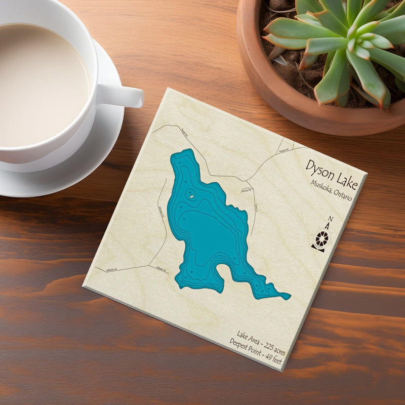 Dyson Lake Map Coaster