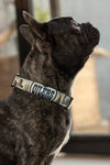 Edmonton Oilers Dog Collar