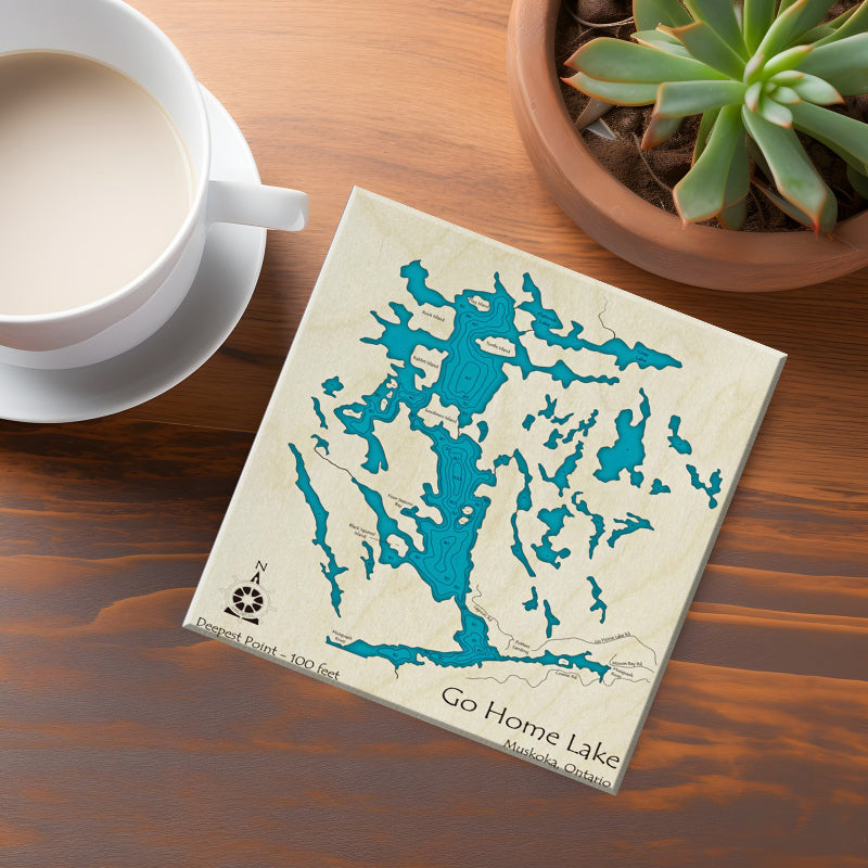 Go Home Lake Map Coaster