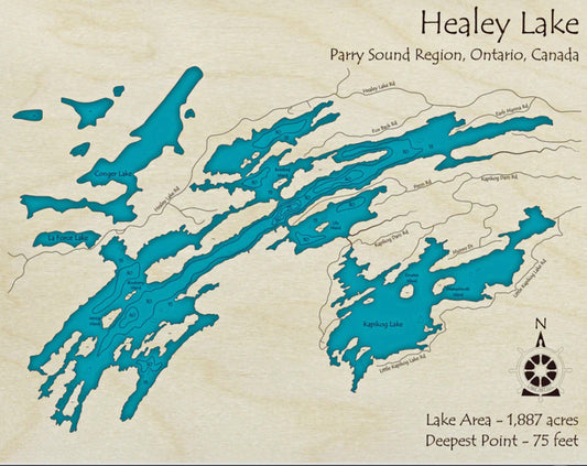 Healey Lake Map Print