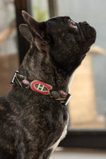 Montreal Canadiens Dog Collar