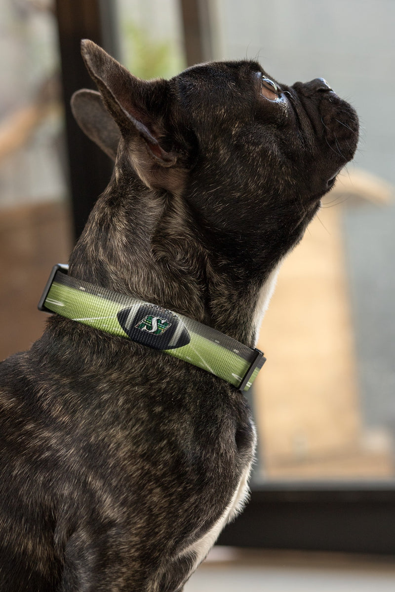 Saskatchewan Roughriders Dog Collar