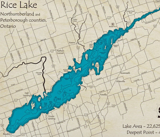 Rice Lake Map Print