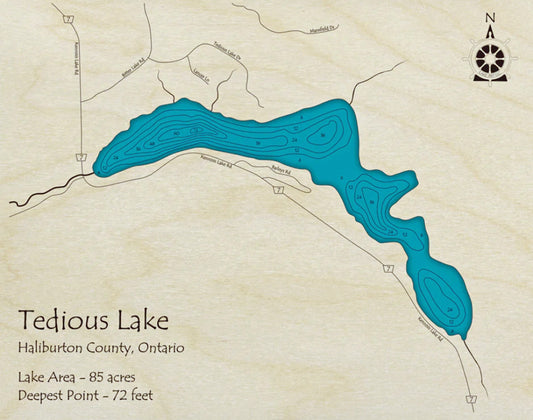 Tedious Lake Map Print