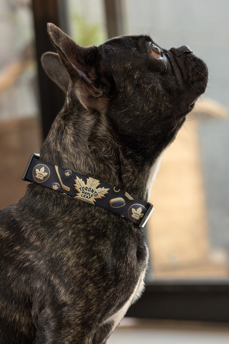 Toronto Maple Leafs Dog Collar