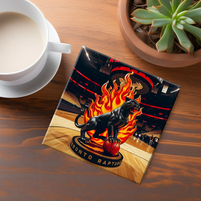 Toronto Raptors Coaster