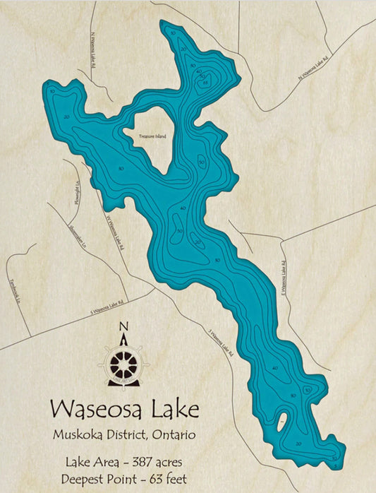 Waseosa Lake Map Print