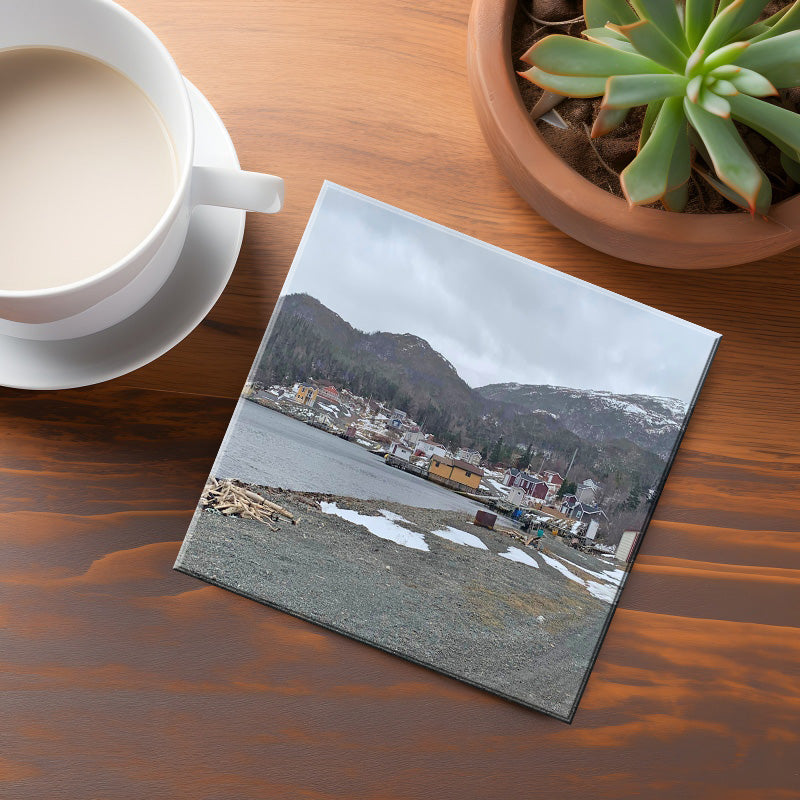 Furbys Cove Coaster